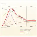 Stabilisation de la structure - crédits : Encyclopædia Universalis France