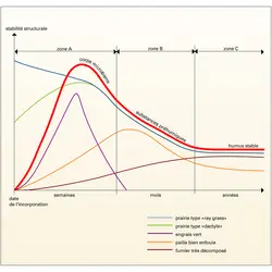 Stabilisation de la structure - crédits : Encyclopædia Universalis France