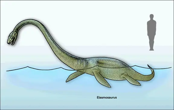 Elasmosaurus