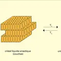 Passage du solide cristallin au liquide isotrope - crédits : Encyclopædia Universalis France