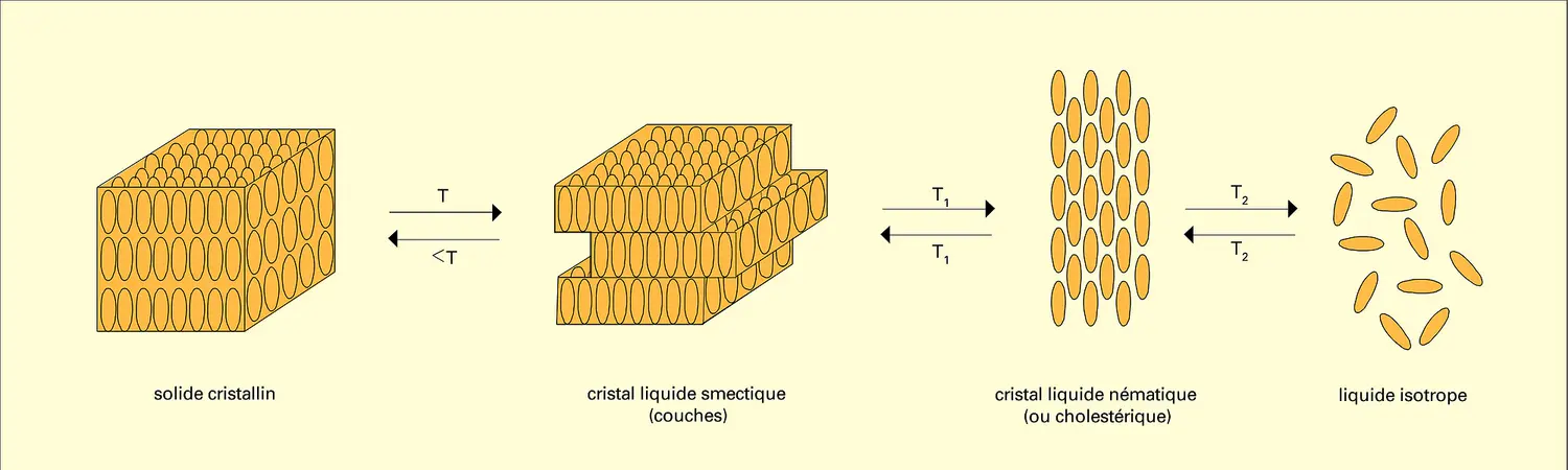 Passage du solide cristallin au liquide isotrope