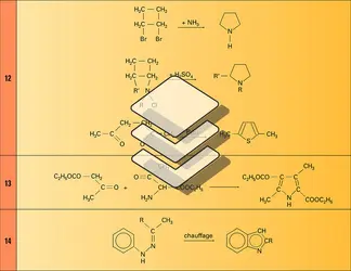 Hétérocycles : réactions 12 à 18 - crédits : Encyclopædia Universalis France