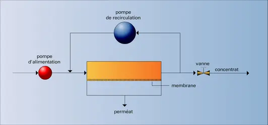 Ultrafiltration - crédits : Encyclopædia Universalis France