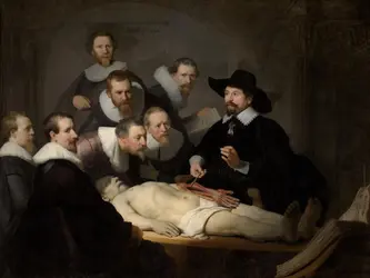 La Leçon d'anatomie du Dr Nicolaes Tulp, Rembrandt - crédits : Sepia Times/ Universal Images Group/ Getty Images