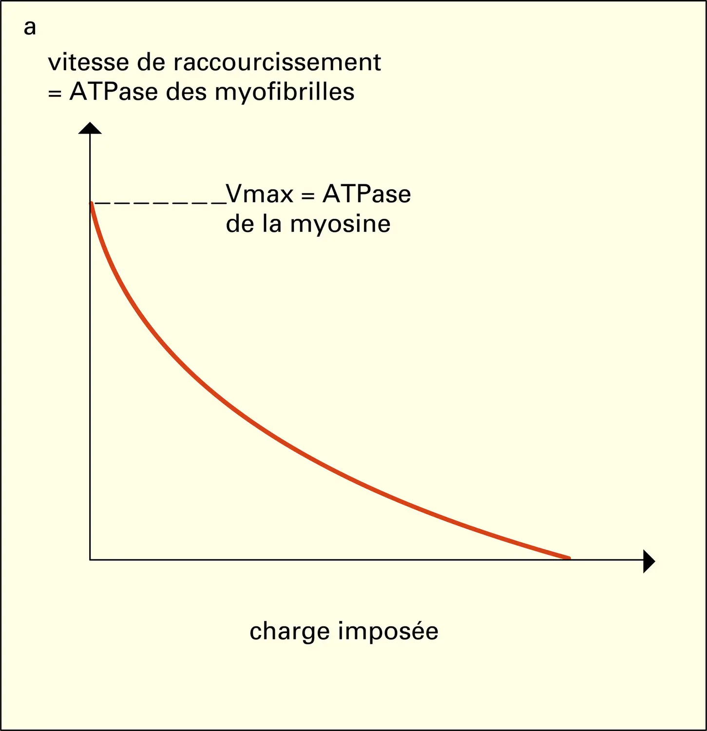 Données biochimiques - vue 1