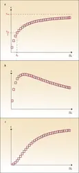 Variations de la vitesse initiale en fonction de la concentration initiale en substrat - crédits : Encyclopædia Universalis France