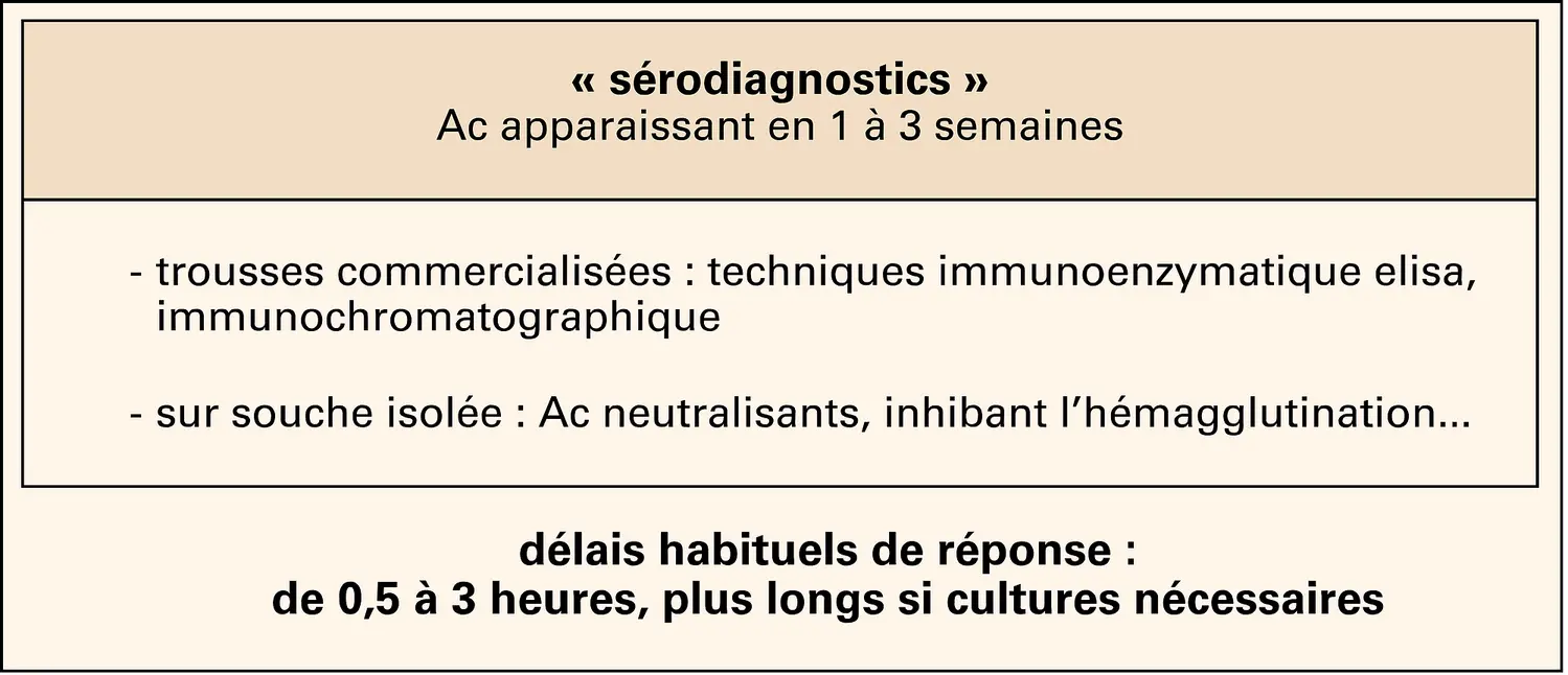 Diagnostic virologique indirect