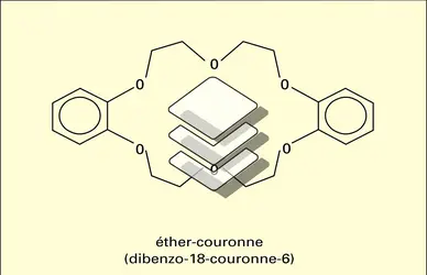 Coordinats macrocycliques - crédits : Encyclopædia Universalis France