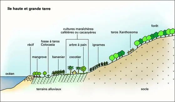 Types d'aménagement agraire en Océanie insulaire (2)