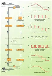 Principe de la modulation par impulsions et codage - crédits : Encyclopædia Universalis France