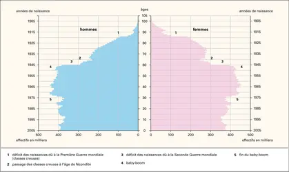 France : pyramide des âges, 2006 - crédits : Encyclopædia Universalis France
