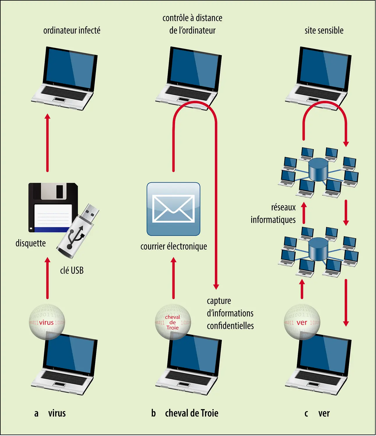 Les trois types de logiciels malveillants