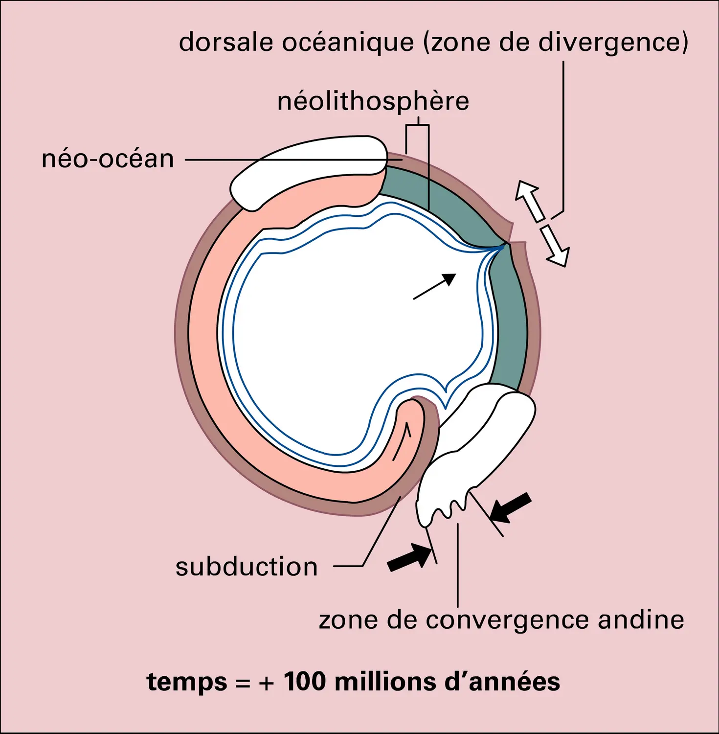 Néolithosphère et paléolithosphère - vue 2