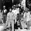 The Wailers - crédits : Michael Ochs Archives/ Getty Images