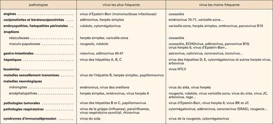 Virus humains - crédits : Encyclopædia Universalis France
