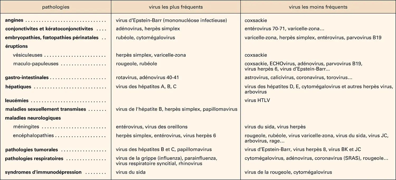 Virus humains