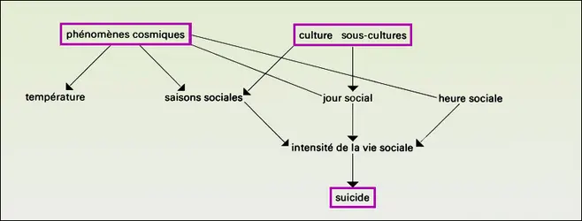 Suicide et facteurs cosmiques - crédits : Encyclopædia Universalis France