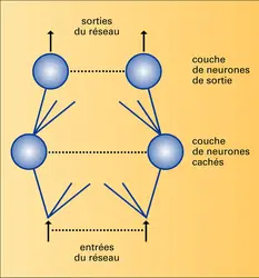 Réseau non bouclé - crédits : Encyclopædia Universalis France