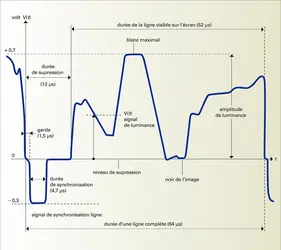 Signal vidéo : traduction d'images noir et blanc - crédits : Encyclopædia Universalis France