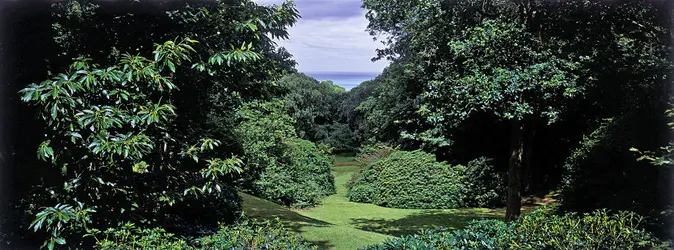 Bois de Morville, vue d’été, Pascal Cribier - crédits : Pascal Cribier