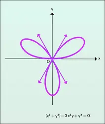 Trifolium - crédits : Encyclopædia Universalis France