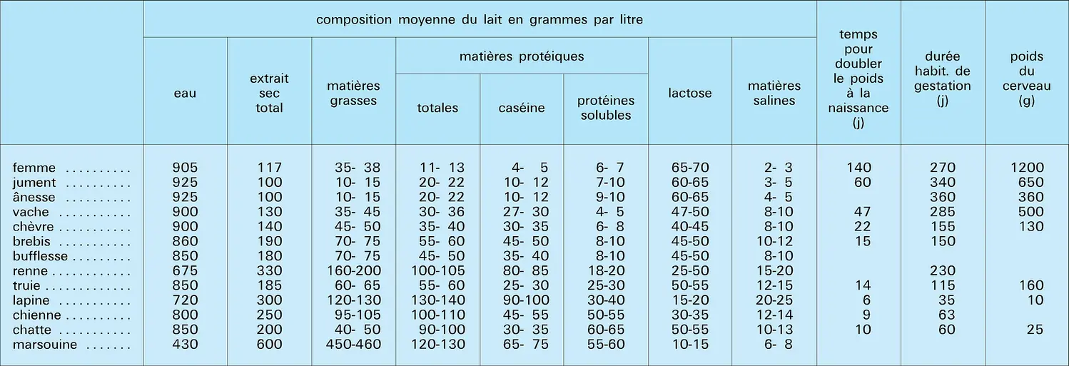 Mammifères : composition du lait et physiologie