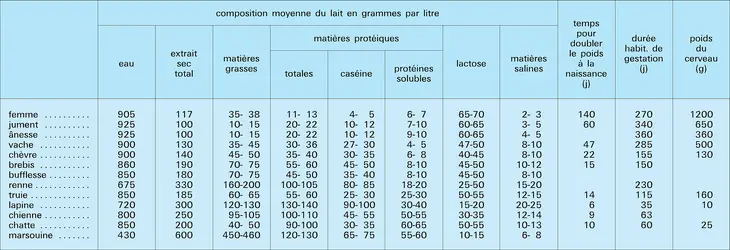 Mammifères : composition du lait et physiologie - crédits : Encyclopædia Universalis France
