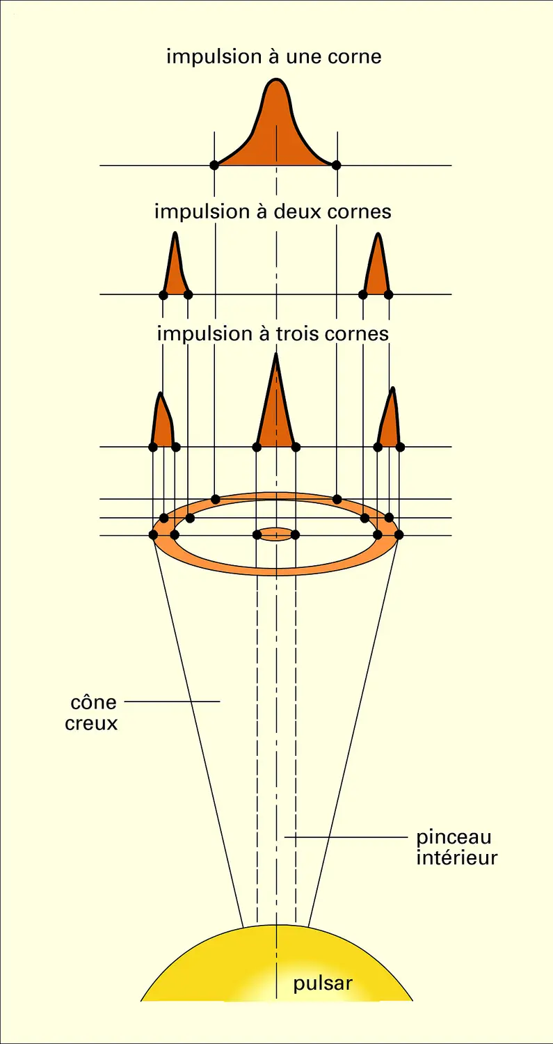 Pulsar : impulsion à une, deux ou trois cornes