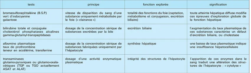 Tests d'exploration fonctionnelle - crédits : Encyclopædia Universalis France