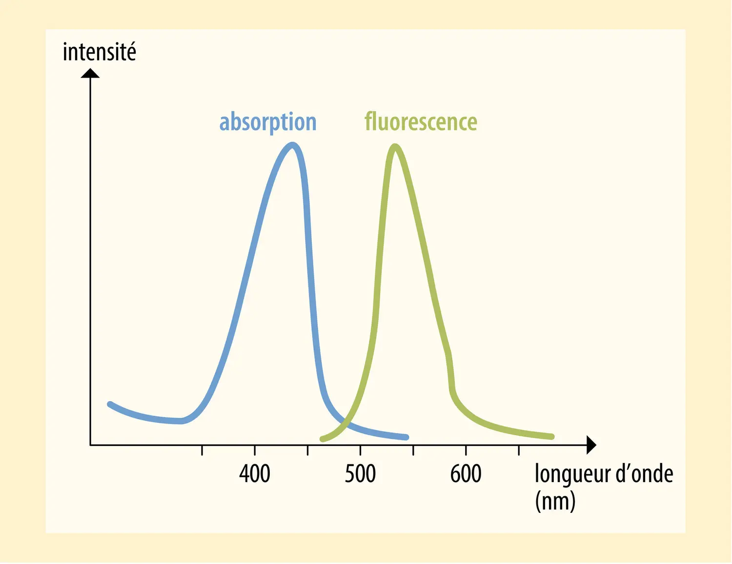 Spectre d’absorption et d’émission de fluorescence en fonction de la longueur d’onde