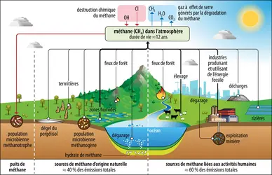 Représentation schématique du cycle de vie du méthane - crédits : Encyclopædia Universalis France