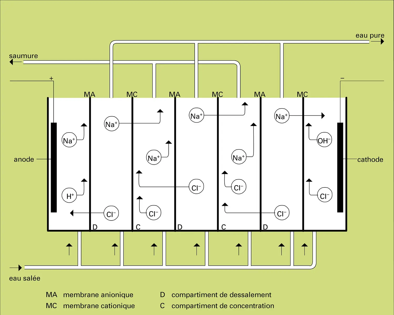 Cellule d'électrodialyse