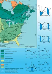 Forêts climaciques - crédits : Encyclopædia Universalis France