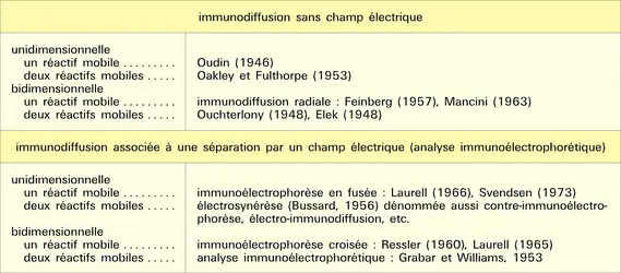 Immunoprécipitation en milieu gélifié - crédits : Encyclopædia Universalis France