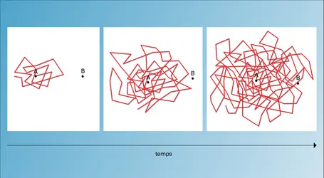 Trajet aléatoire d'une particule - crédits : Encyclopædia Universalis France