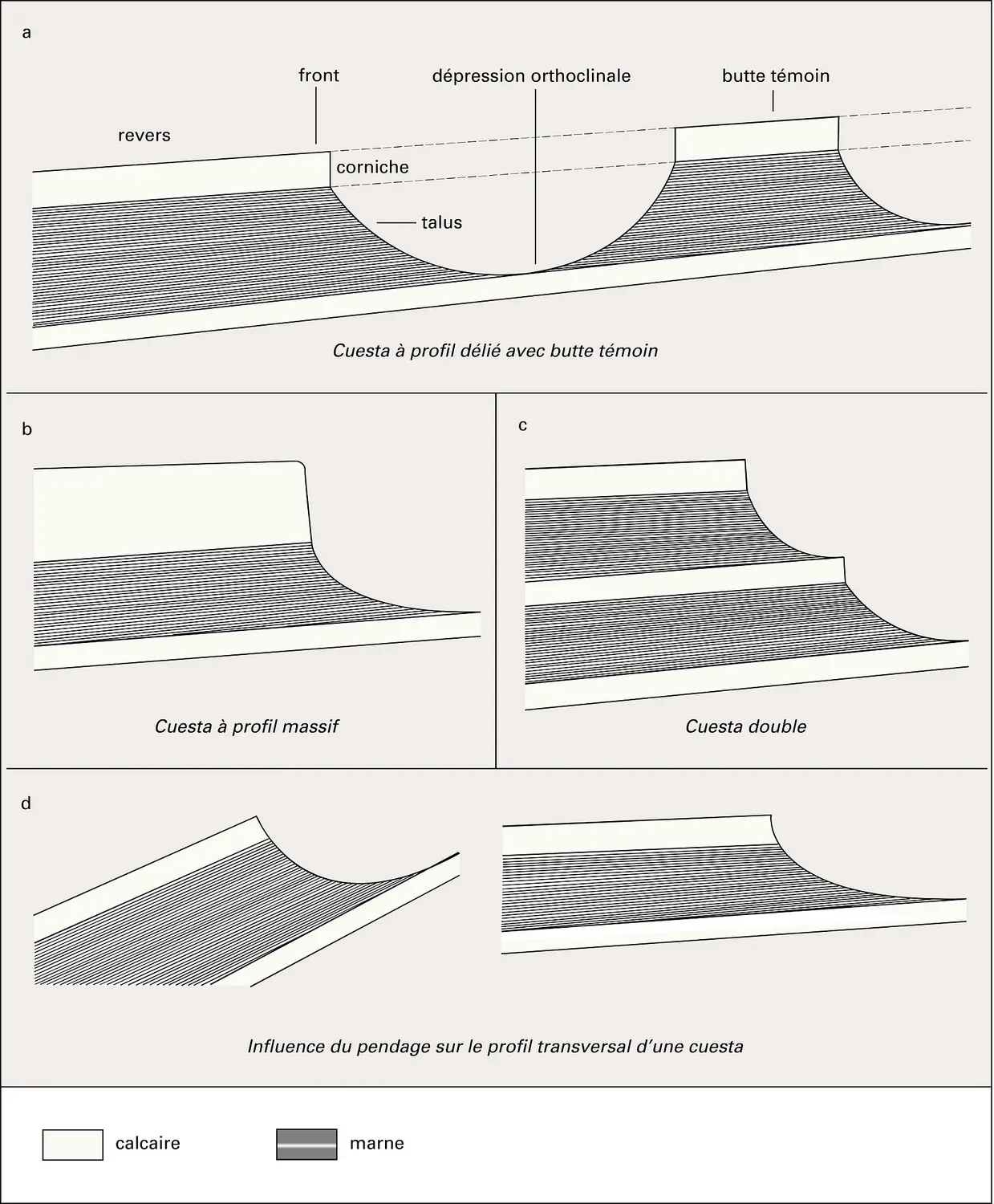 Cuestas : types de profils transversaux