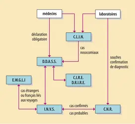 Épidémiovigilance et légionellose (France) - crédits : Encyclopædia Universalis France