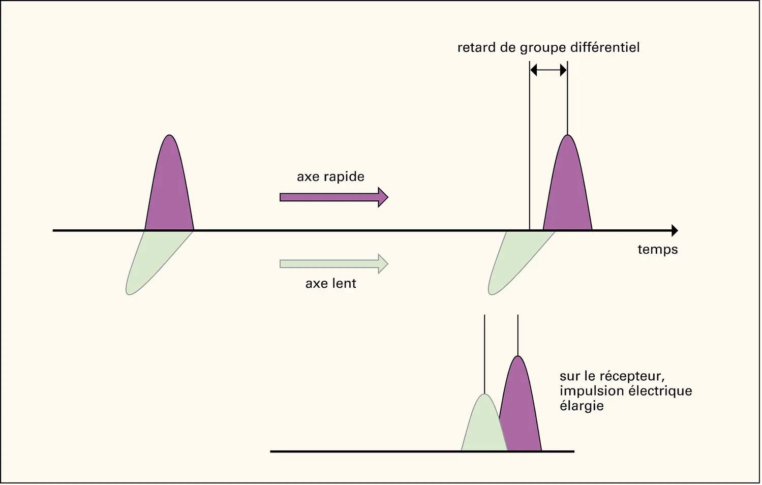 Technologie optique : séparation de l'impulsion