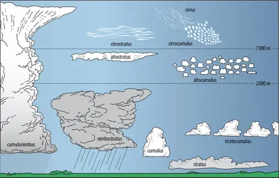 Extension en altitude des principaux nuages - crédits : Encyclopædia Universalis France