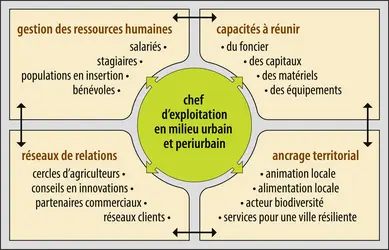 Compétences multiples exigées d’un chef d’exploitation en milieu urbain et périurbain - crédits : Encyclopædia Universalis France