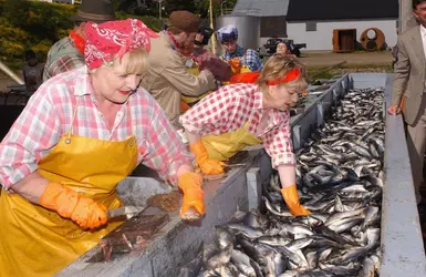 Usine de pêche en Islande - crédits : Steve Finn/ AFP Entertainment/ AFP