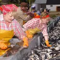 Usine de pêche en Islande - crédits : Steve Finn/ AFP Entertainment/ AFP