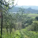 Un système agricole diversifié : le verger maraîcher - crédits : Servane Penvern