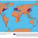 Types de distribution des végétaux - crédits : Encyclopædia Universalis France