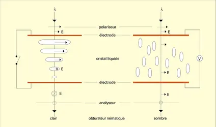 Twisted Nematic - crédits : Encyclopædia Universalis France