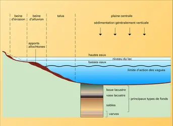 Zones morphologiques - crédits : Encyclopædia Universalis France