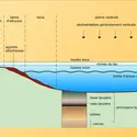 Zones morphologiques - crédits : Encyclopædia Universalis France