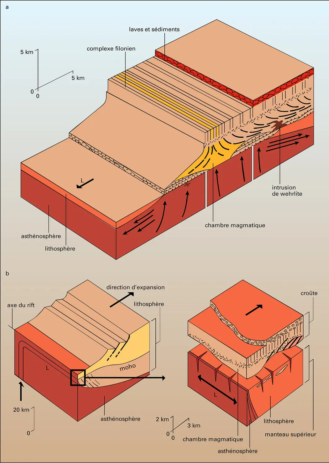 Dorsale et rift océaniques