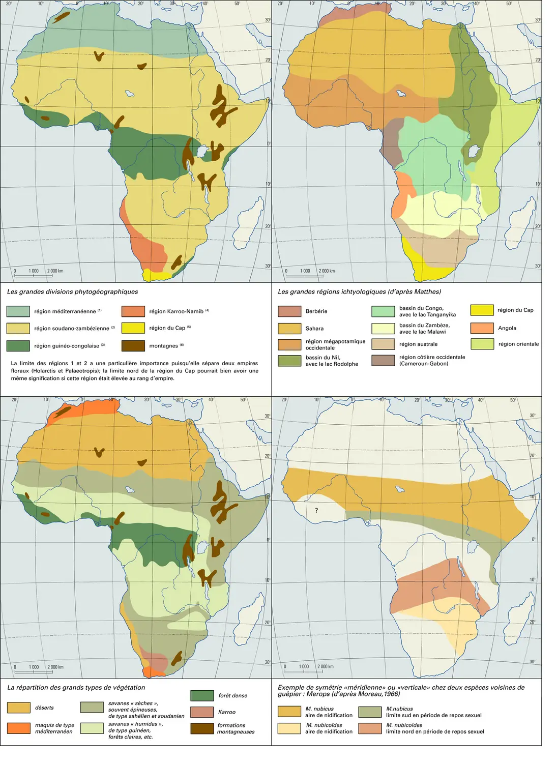 Afrique : biogéographie