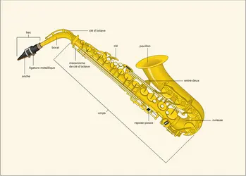 Saxophone alto - crédits : Encyclopædia Universalis France